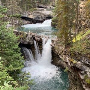 Meet your Posher, Robyn